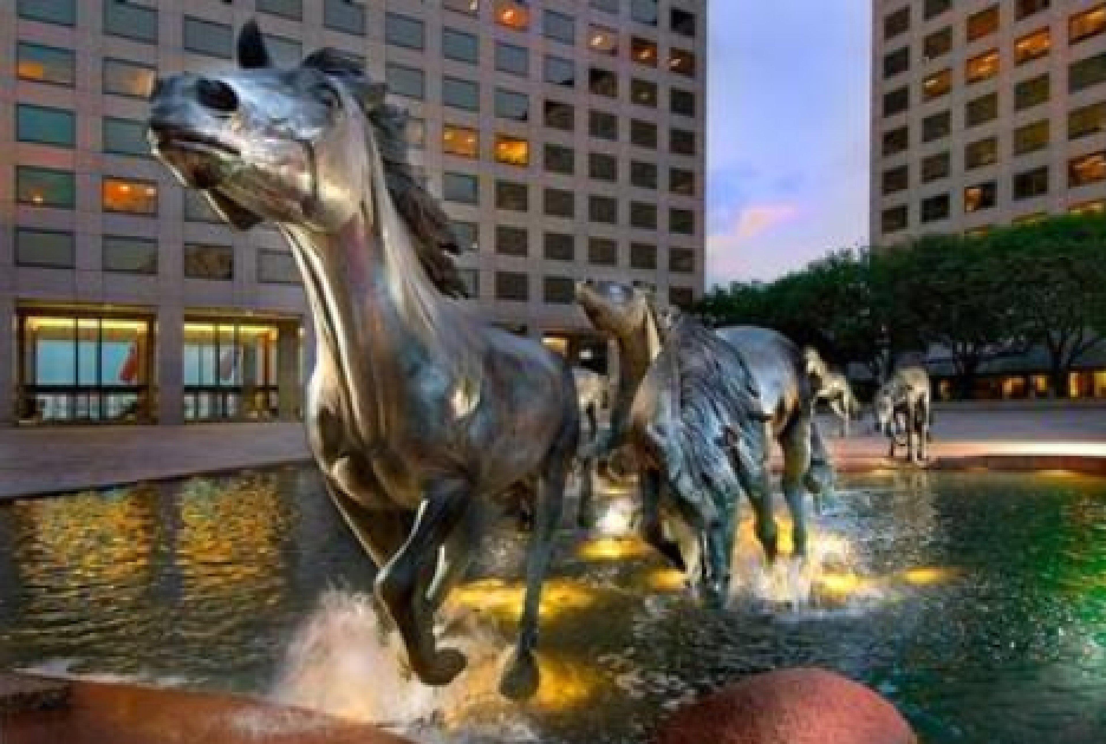 Sonesta Simply Suites Dallas Las Colinas Irving Exteriér fotografie